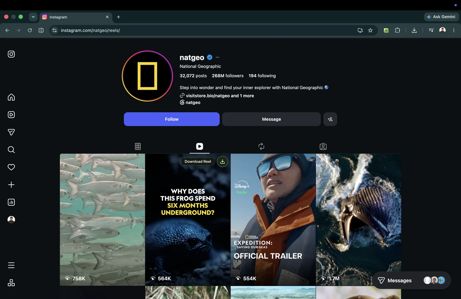 Rank Kiwi tooltip showing Download Reel option on an Instagram creator Reels video thumbnail