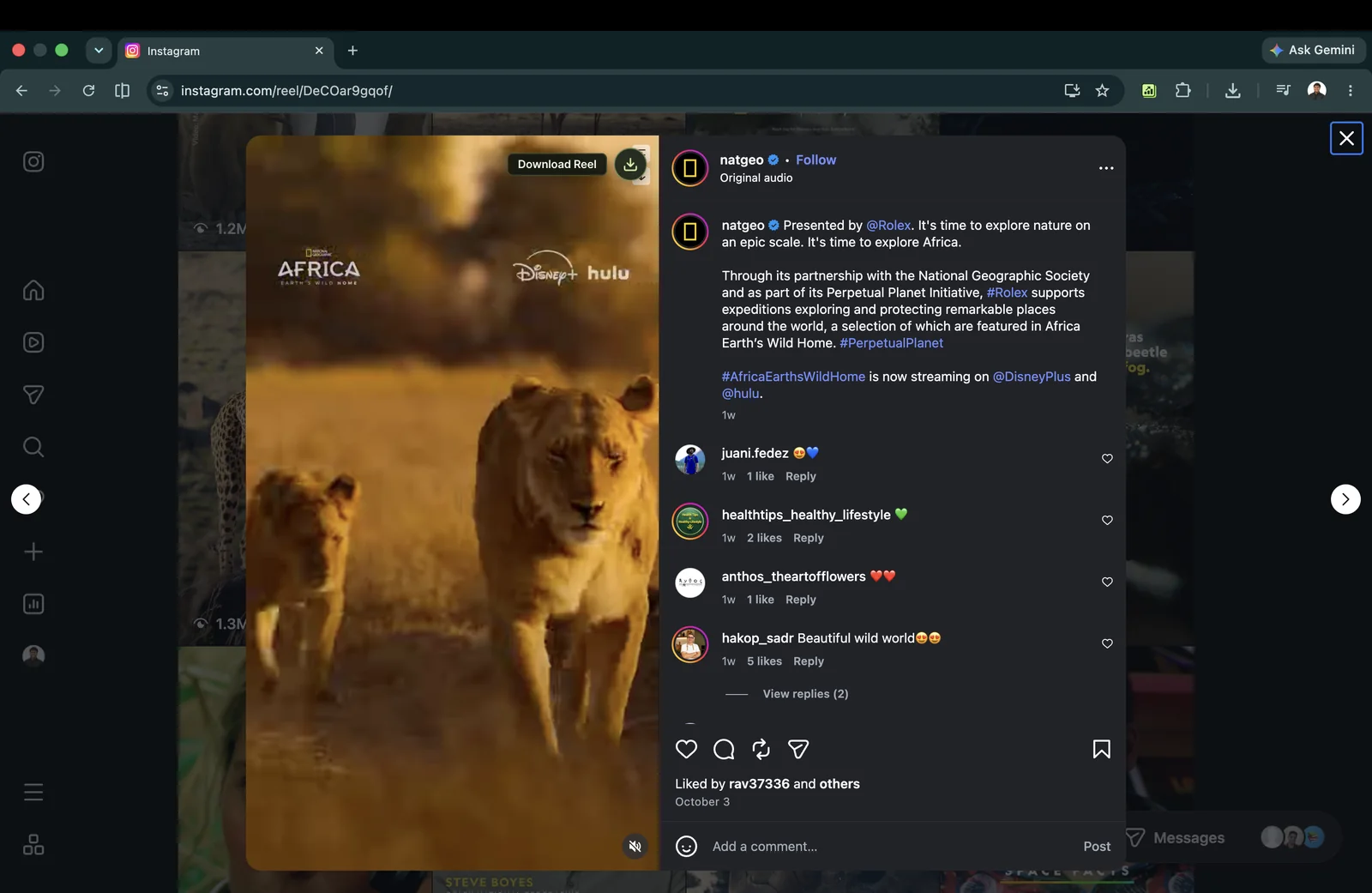 Individual Instagram Reel card in Rank Kiwi results grid displaying the direct download action