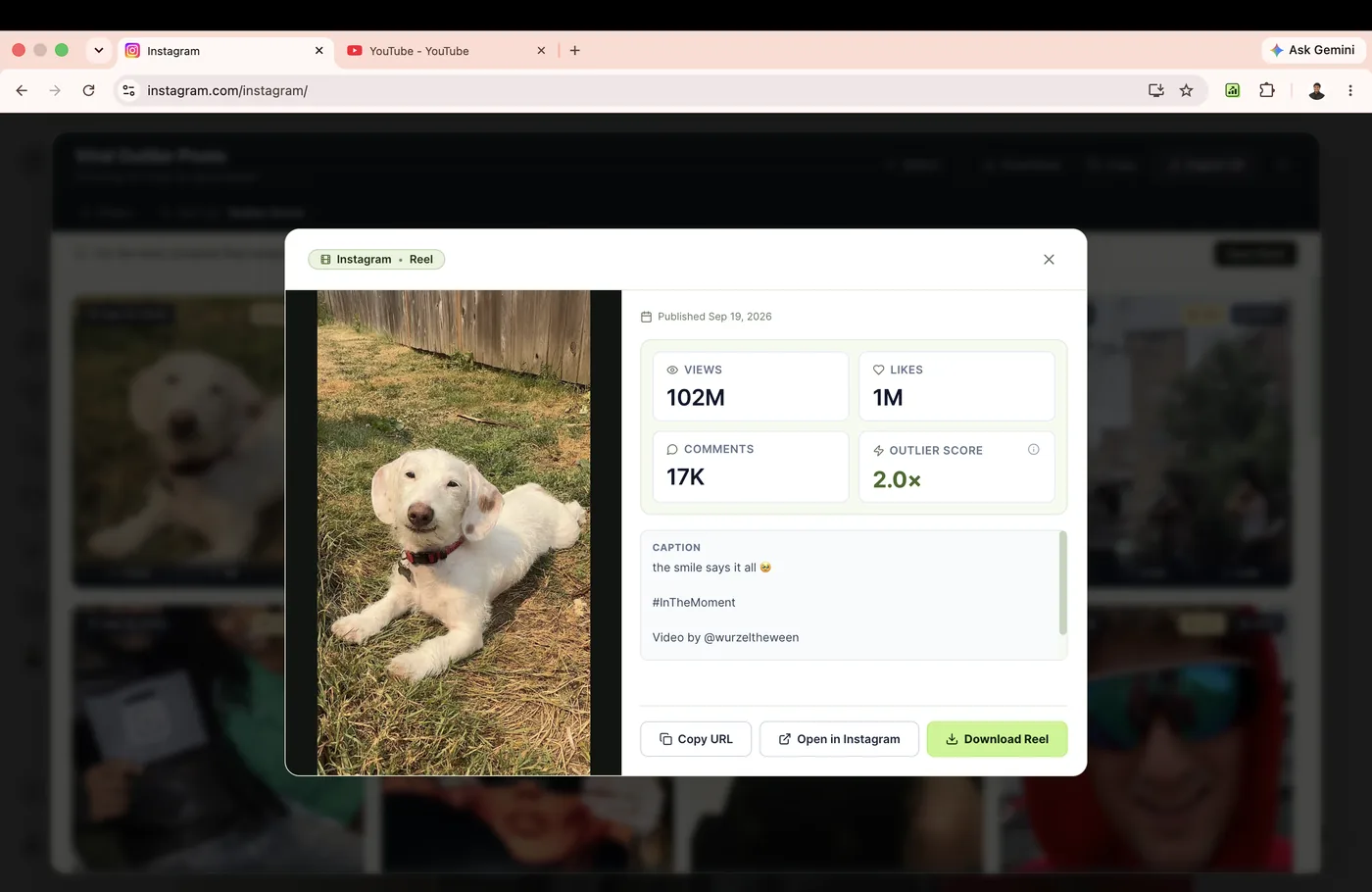 Rank Kiwi content detail modal